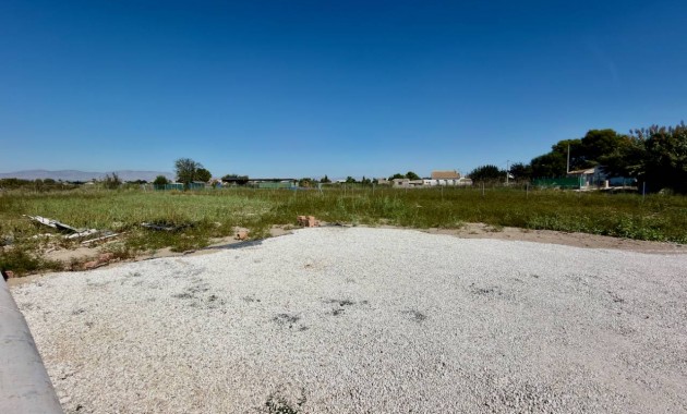 Venta - Finca / Country Property -
Dolores - Comunidad Valenciana
