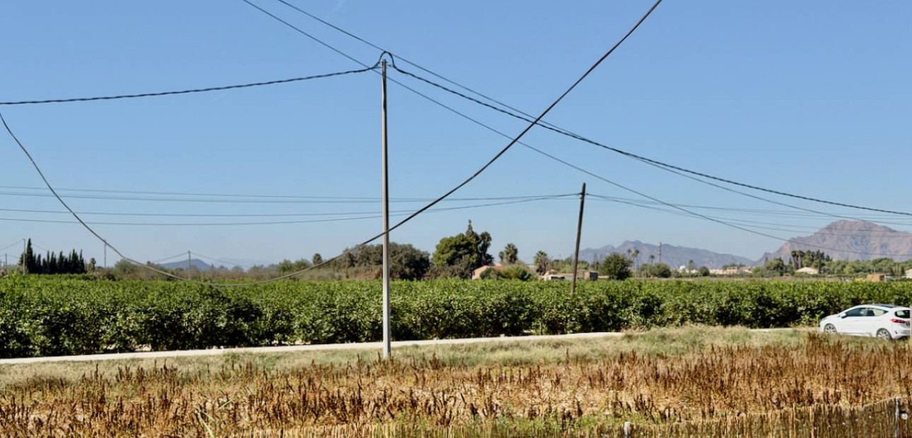 Venta - Finca / Country Property -
Dolores - Comunidad Valenciana