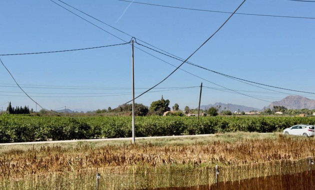 Venta - Finca / Country Property -
Dolores - Comunidad Valenciana