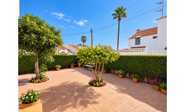 Venta - Adosado -
Torrevieja - Nueva Torrevieja
