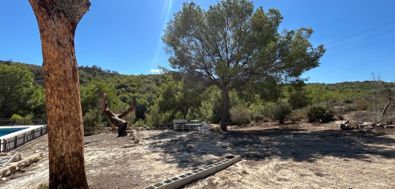Sale - Country Property/Finca -
Torremendo