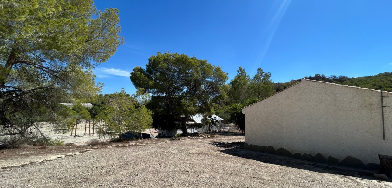 Sale - Country Property/Finca -
Torremendo