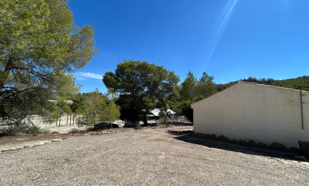 Sale - Country Property/Finca -
Torremendo