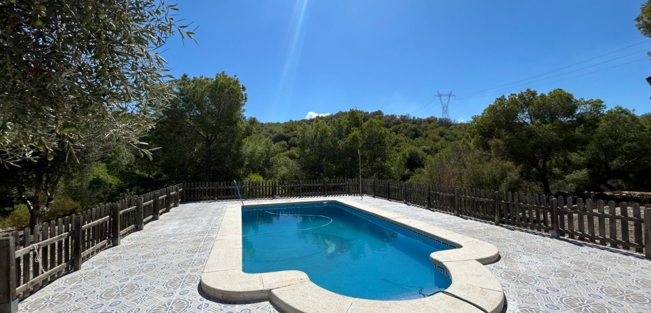 Sale - Country Property/Finca -
Torremendo