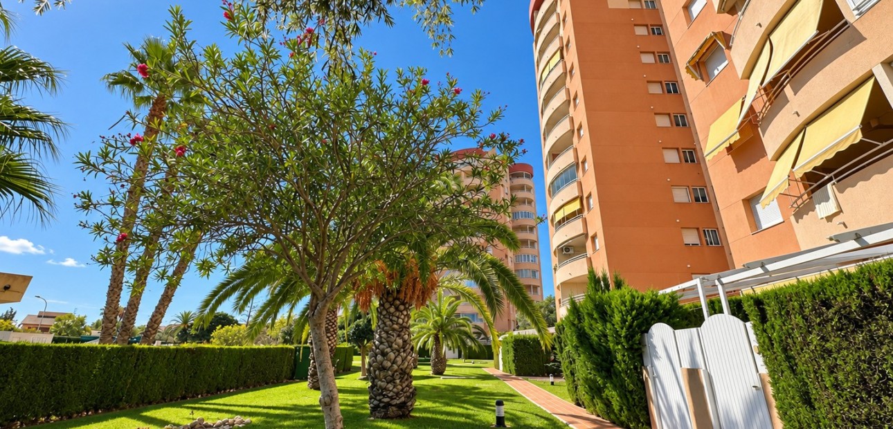 Venta - Apartment / Duplex -
Orihuela Costa - Campoamor