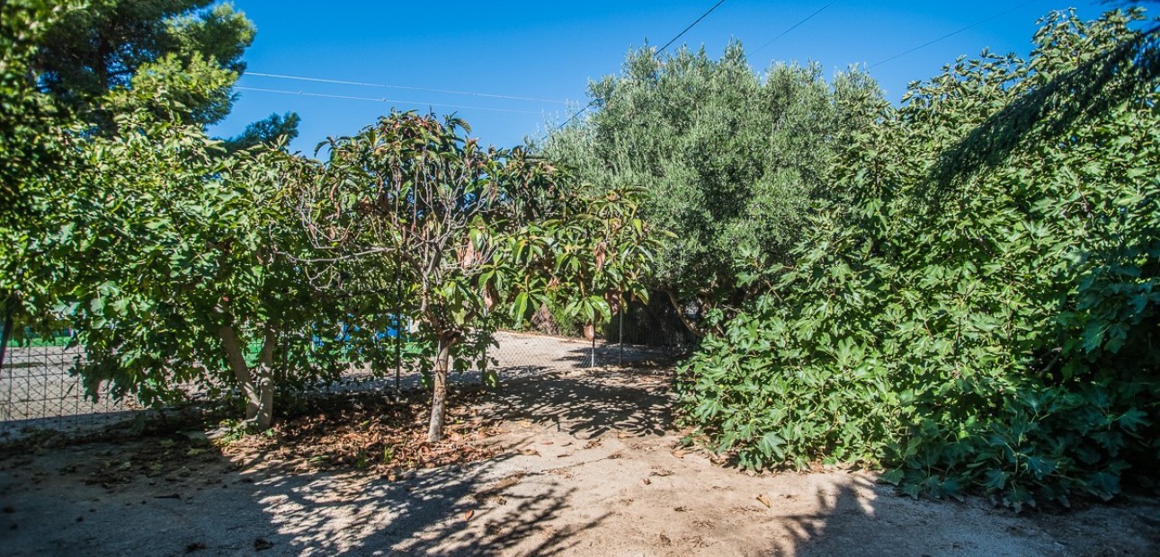 Venta - House -
Orihuela - Redovan
