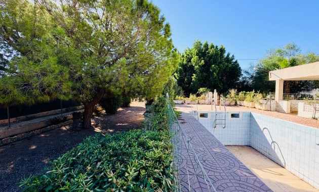 Sale - Detached Villa -
Crevillente