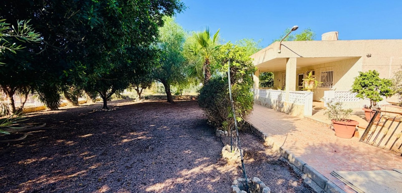 Sale - Detached Villa -
Crevillente