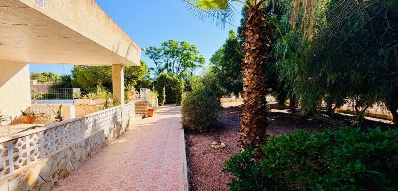 Sale - Detached Villa -
Crevillente