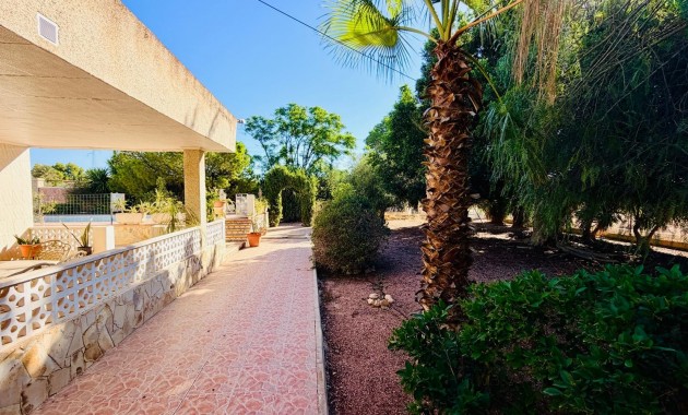 Sale - Detached Villa -
Crevillente