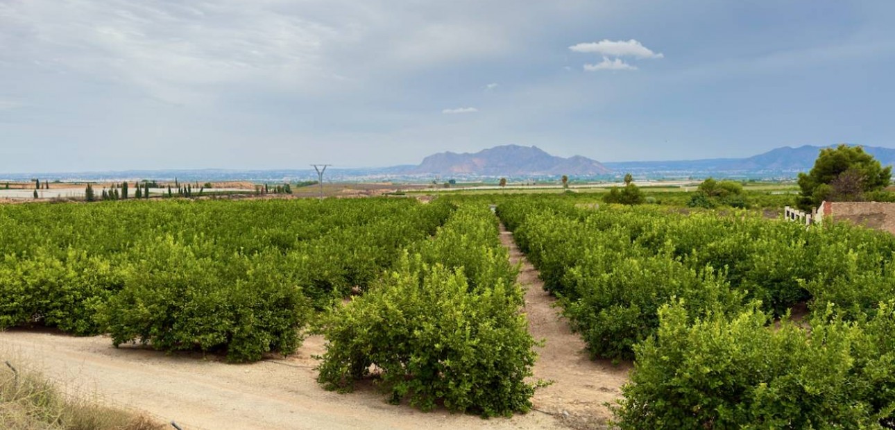 Sale - Finca / Country Property -
La Murada