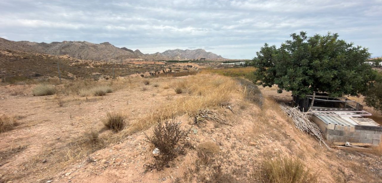 Sale - Finca / Country Property -
La Murada