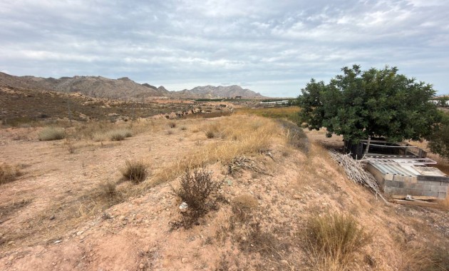 Sale - Finca / Country Property -
La Murada
