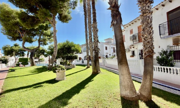 Venta - Apartamento / piso -
Torrevieja