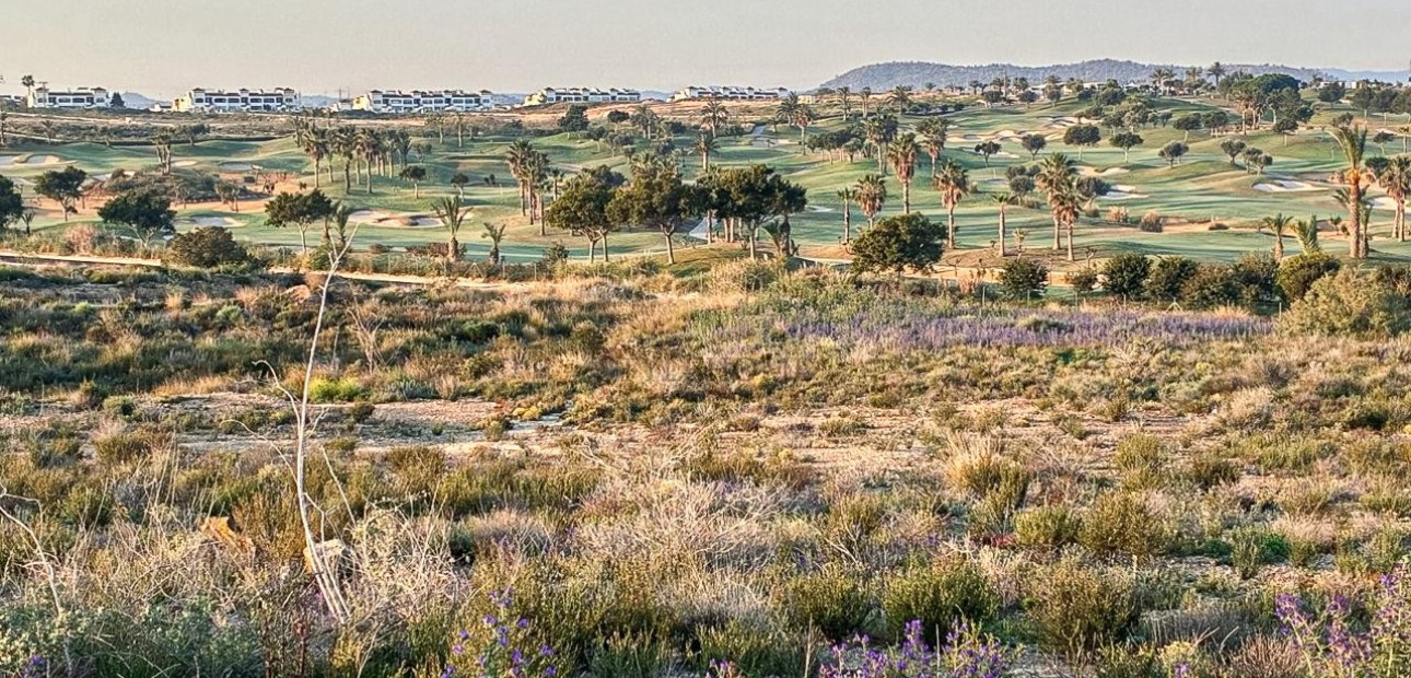Venta - 1. Apartment / flat -
Entre Naranjo - Vistabella Golf - Entre Naranjos Vistabella Golf