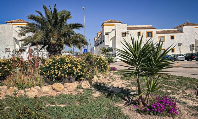 Venta - 1. Apartment / flat -
Entre Naranjo - Vistabella Golf - Entre Naranjos Vistabella Golf