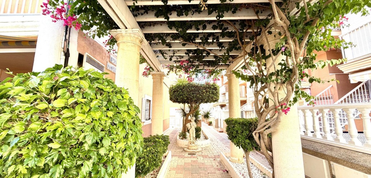 Sale - Apartment / flat -
Torrevieja - La Mata pueblo