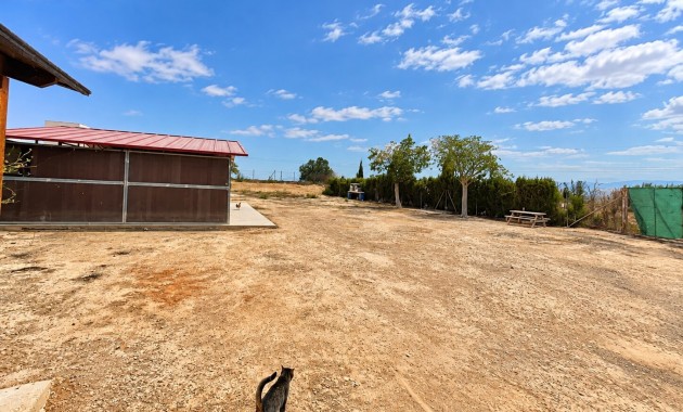 Sale - Country Property -
San Fulgencio - San Fulgencio - Country