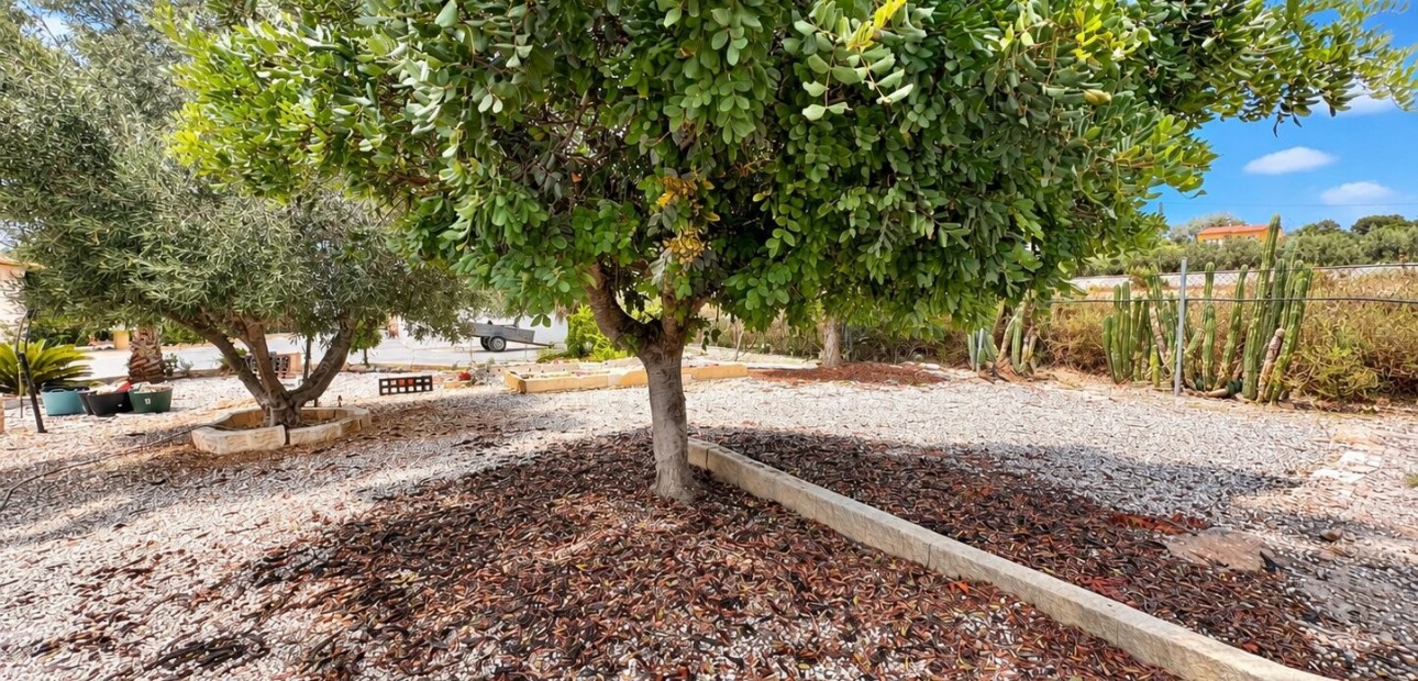 Sale - Country Property -
San Fulgencio - San Fulgencio - Country