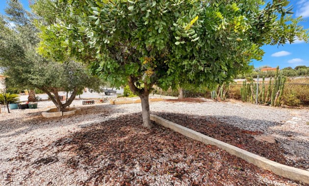 Sale - Country Property -
San Fulgencio - San Fulgencio - Country
