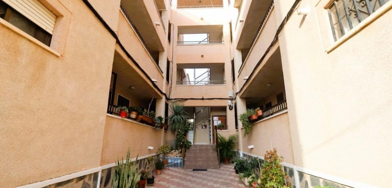 Sale - Studio -
Torrevieja - La Siesta - El Salado - Torreta