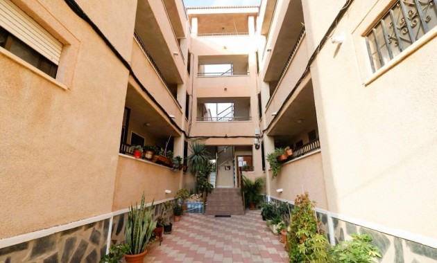 Sale - Studio -
Torrevieja - La Siesta - El Salado - Torreta