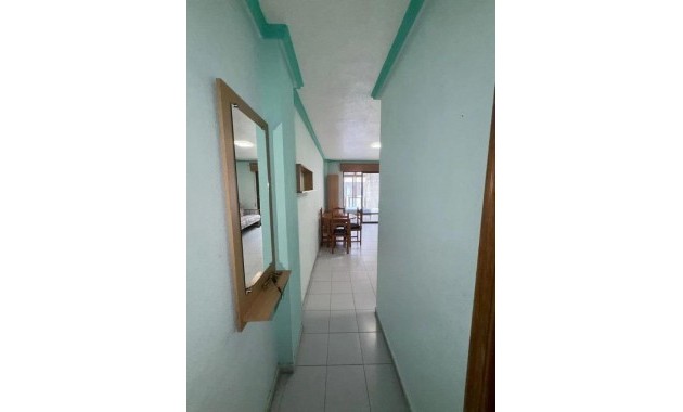 Sale - Studio -
Torrevieja - La Siesta - El Salado - Torreta