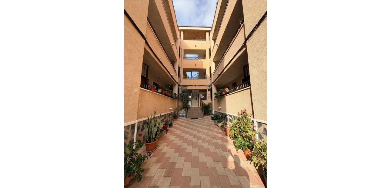 Sale - Studio -
Torrevieja - La Siesta - El Salado - Torreta
