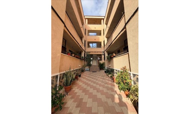 Sale - Studio -
Torrevieja - La Siesta - El Salado - Torreta