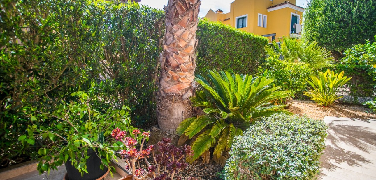 Sale - House -
Torrevieja - LOS BALCONES - LOS ALTOS