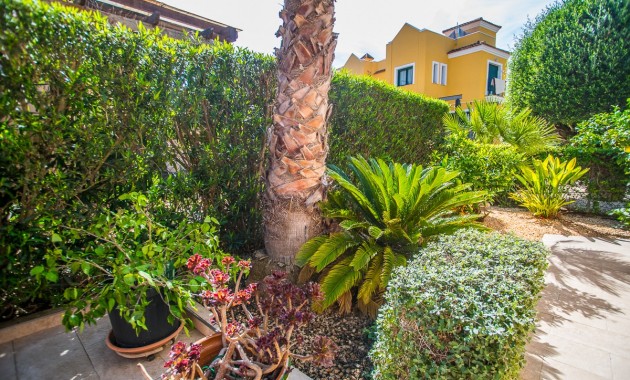 Sale - House -
Torrevieja - LOS BALCONES - LOS ALTOS