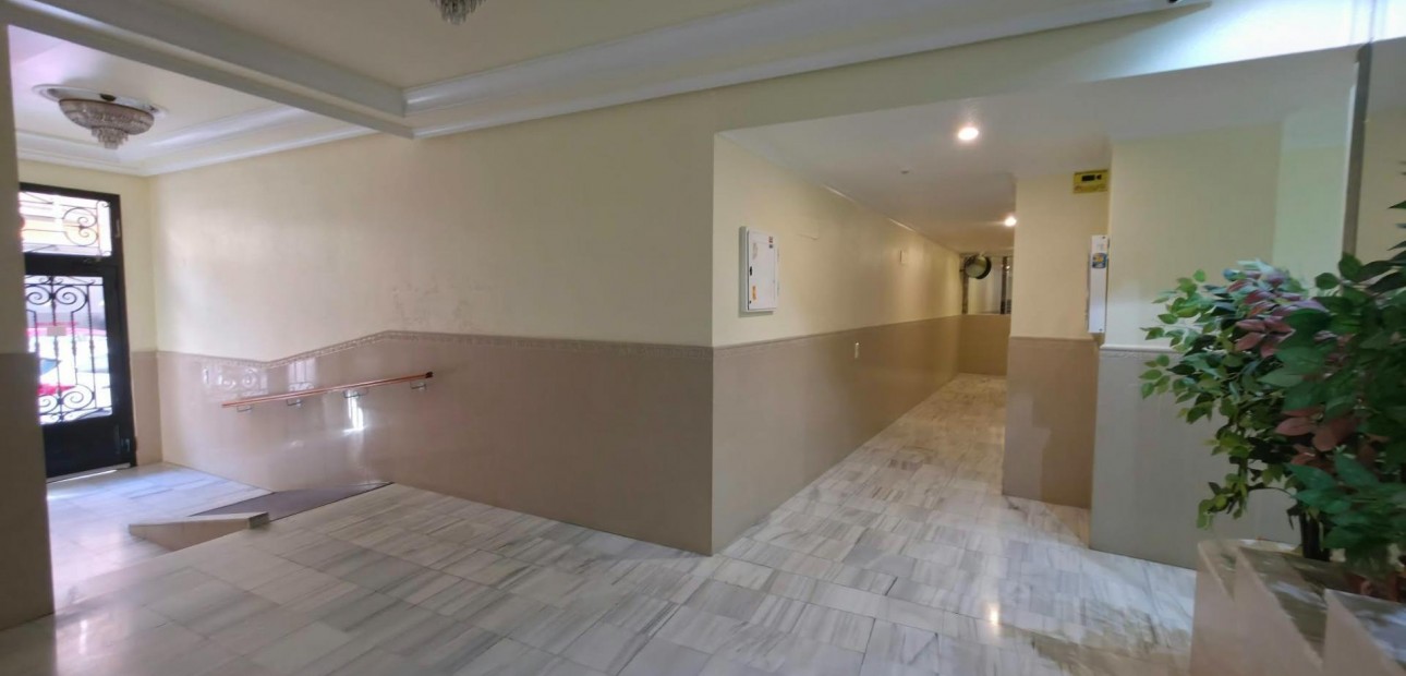 Venta - Apartamento / piso -
Torrevieja - Paseo maritimo