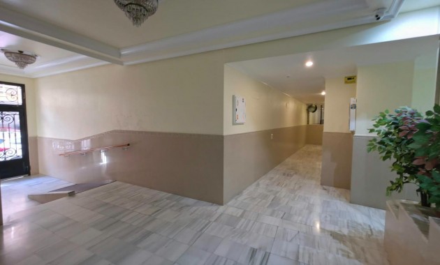 Venta - Apartamento / piso -
Torrevieja - Paseo maritimo