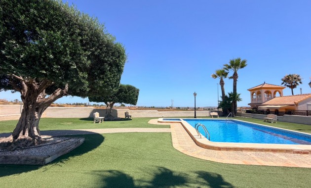 Venta - Semi Detached Villa -
Los Montesinos - Urbanizacion montesol