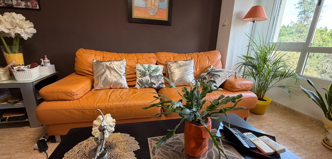 Venta - Apartamento / piso -
Pilar de La Horadada - Pilar de La Horadada - Town