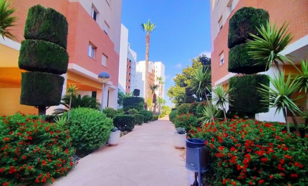 Venta - Apartamento / piso -
Torrevieja - Playa de los Naufragos