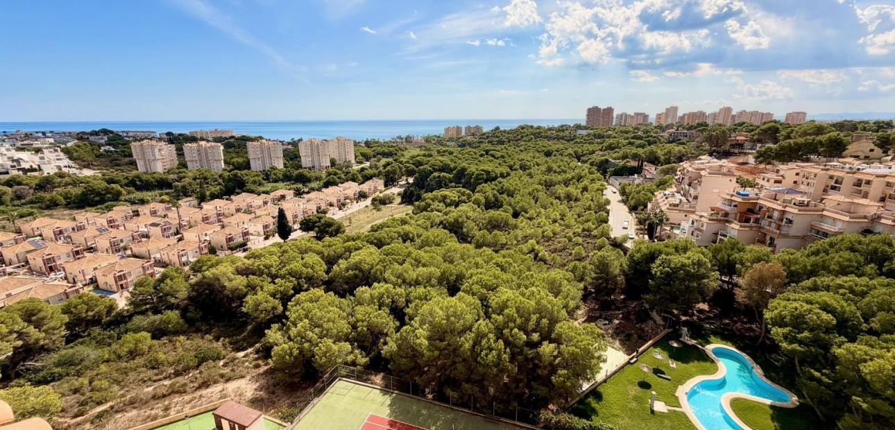Venta - Duplex -
Orihuela Costa - Altos de Campoamor