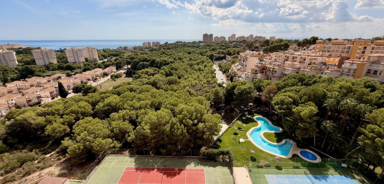 Venta - Duplex -
Orihuela Costa - Altos de Campoamor