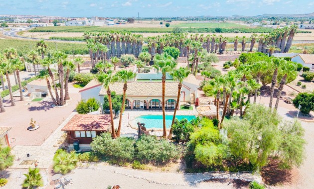 Sale - Country Property -
Daya Vieja - Daya Vieja - Country