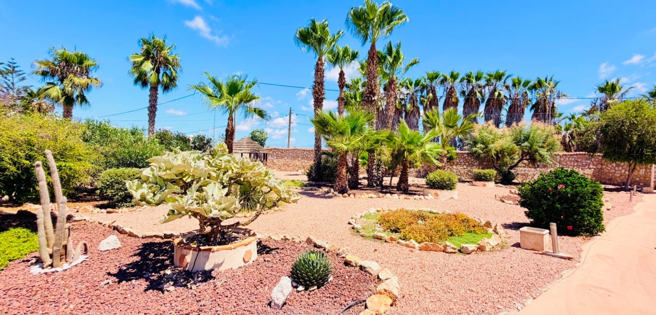 Sale - Country Property -
Daya Vieja - Daya Vieja - Country