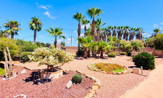 Sale - Country Property -
Daya Vieja - Daya Vieja - Country