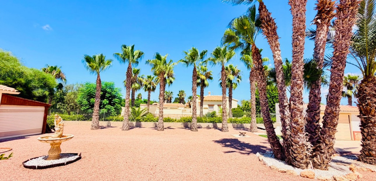 Sale - Country Property -
Daya Vieja - Daya Vieja - Country