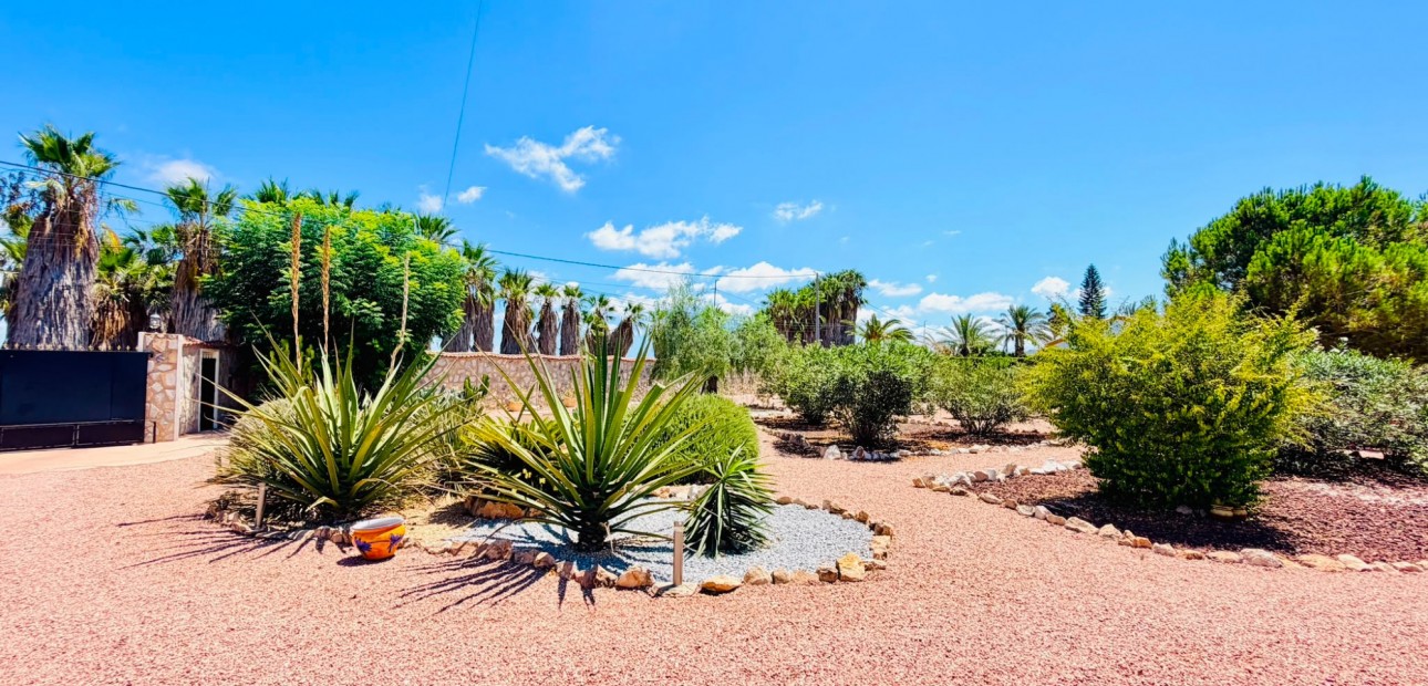 Sale - Country Property -
Daya Vieja - Daya Vieja - Country
