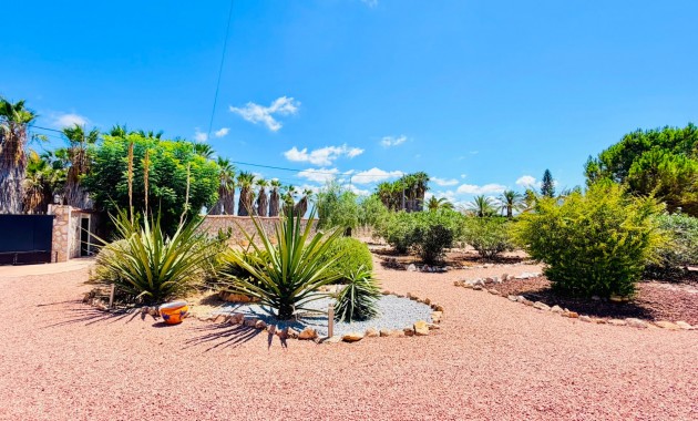 Sale - Country Property -
Daya Vieja - Daya Vieja - Country