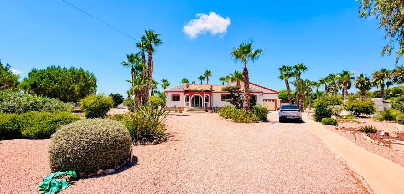 Sale - Country Property -
Daya Vieja - Daya Vieja - Country