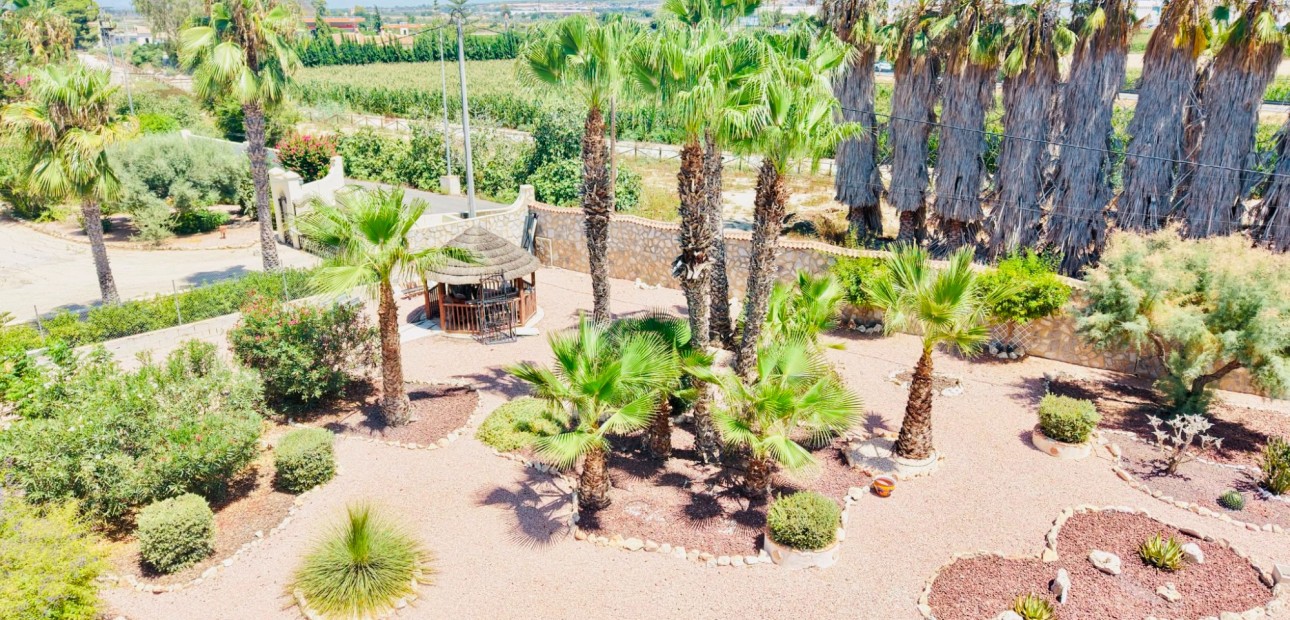 Sale - Country Property -
Daya Vieja - Daya Vieja - Country