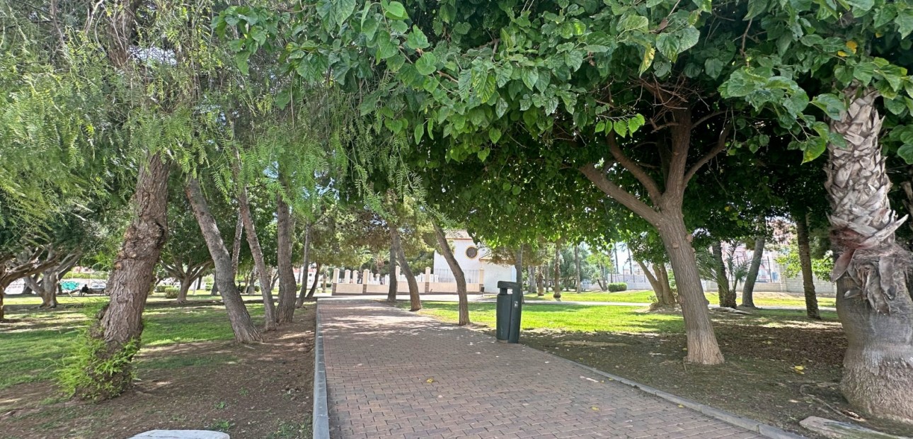 Herverkoop - Herenhuis -
Torrevieja - Torrevieja - Centre