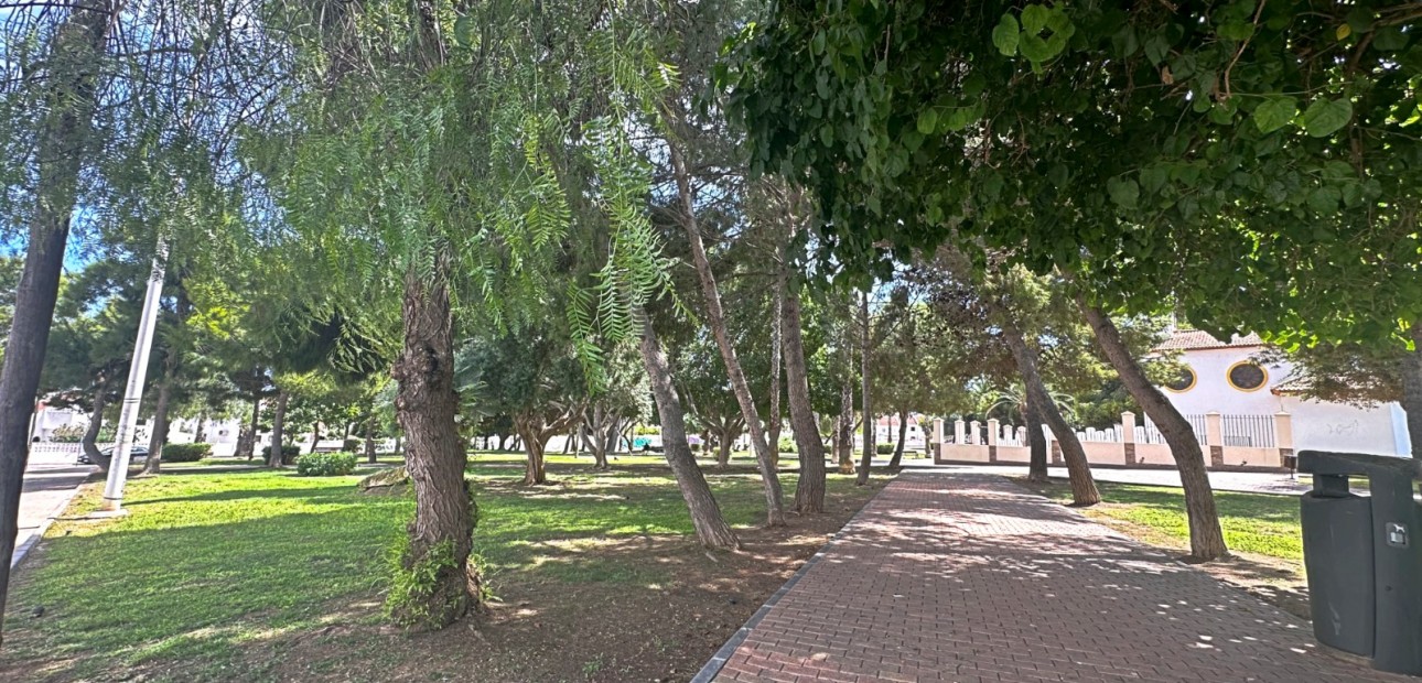Herverkoop - Herenhuis -
Torrevieja - Torrevieja - Centre