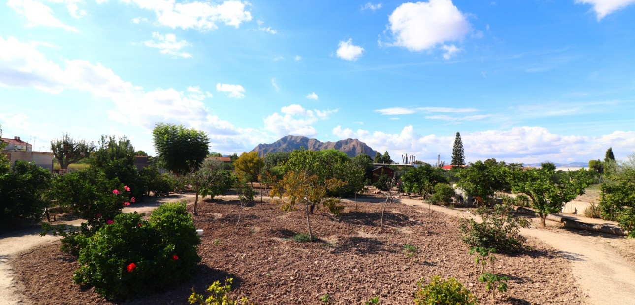 Herverkoop - Country Property -
Rafal - El Mudamiento