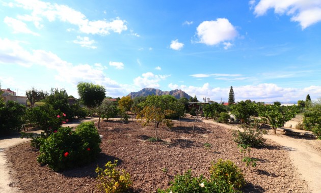 Herverkoop - Country Property -
Rafal - El Mudamiento